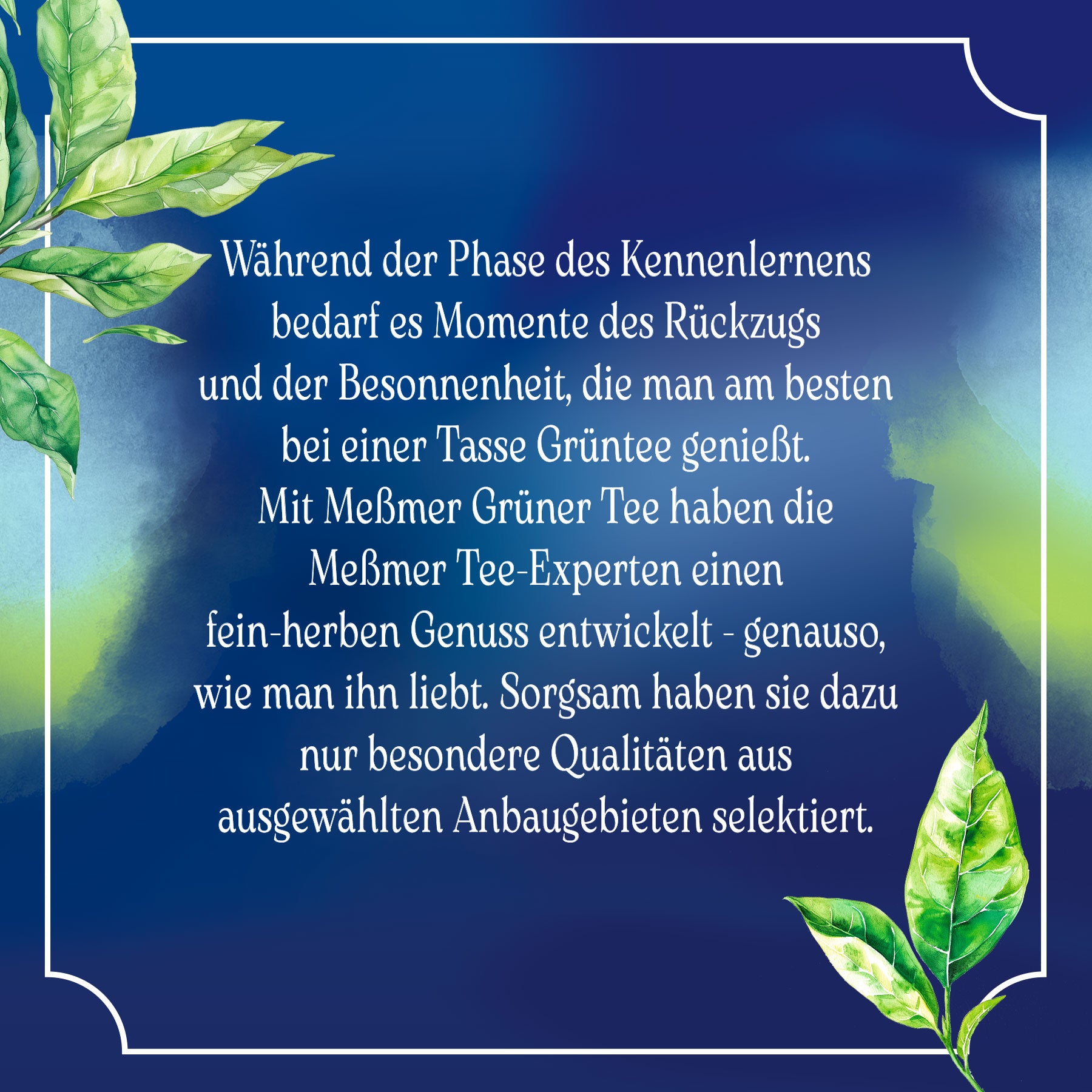 Grüner Tee von Meßmer, mit sorgfältig ausgewählten Qualitäten aus speziellen Anbaugebieten für einen fein-herben Genuss während ruhiger Momente der Entspannung.